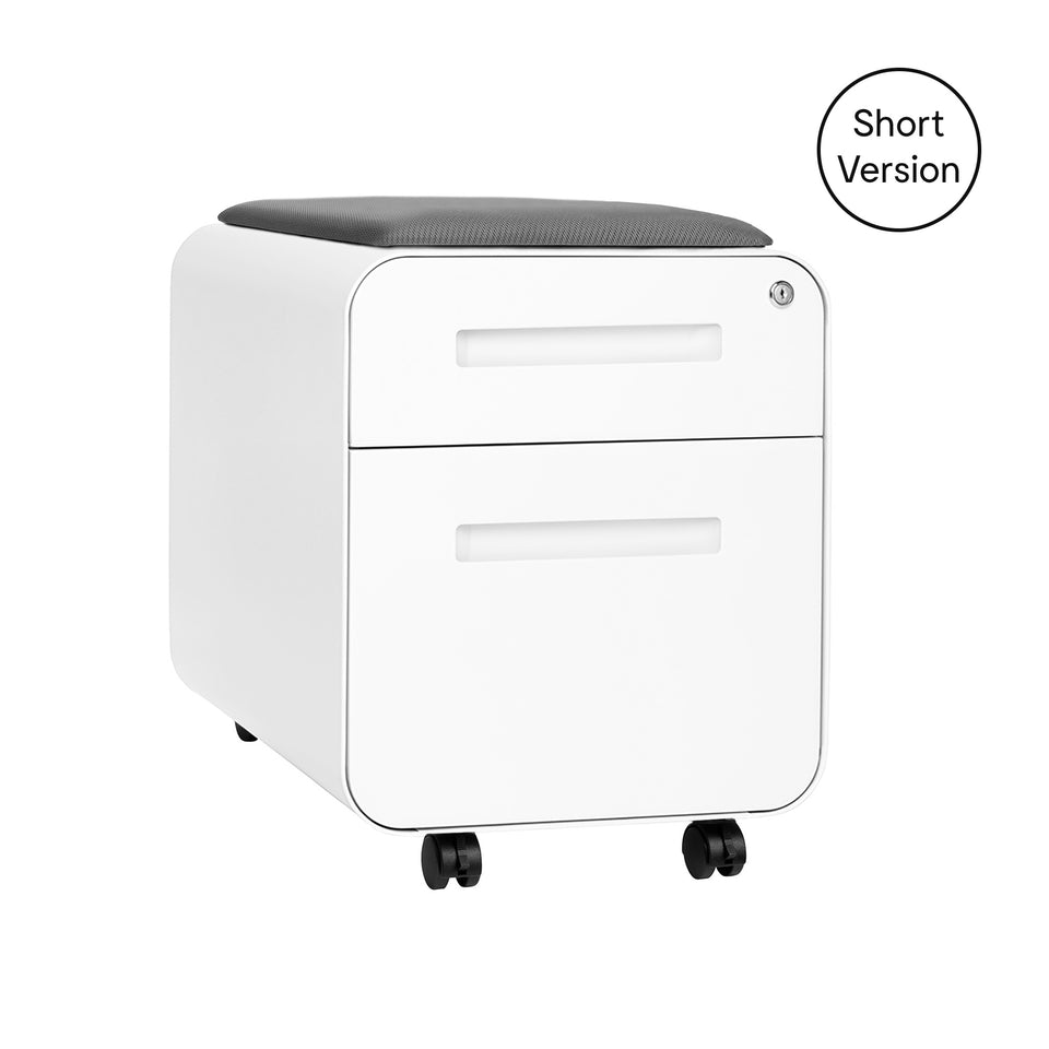 Stockpile Mini 2-Drawer File Cabinet (White)